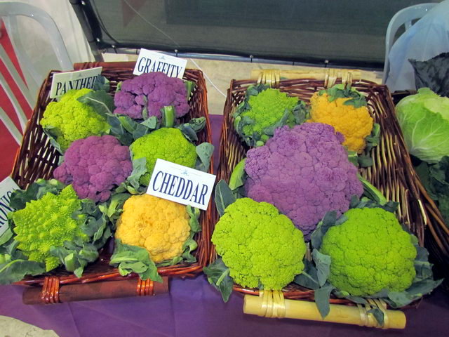 Agro-Mashov 2011. (Diplomacy Archive)