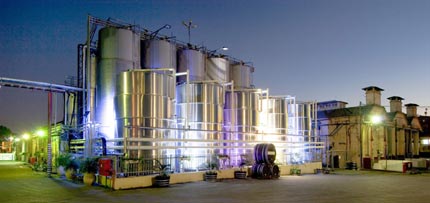 Zichron Yakov was the first location in Israel where Carmel Winery began making wine (MFA)