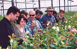 mashavagriculture